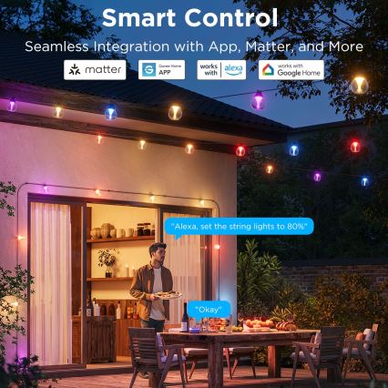 Govee - LED RGBICW Stmievateľná vonkajšia dekoračná reťaz LED/24W/230V IP67 2700-6500K Wi-Fi