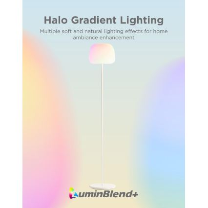 Govee - LED RGBICWW Stmievateľná stojacia lampa LANTERN MATTER LED/24W/230V Wi-Fi 160 cm