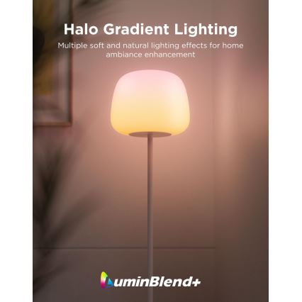 Govee - LED RGBICWW Stmievateľná stojacia lampa LANTERN MATTER LED/24W/230V Wi-Fi 160 cm