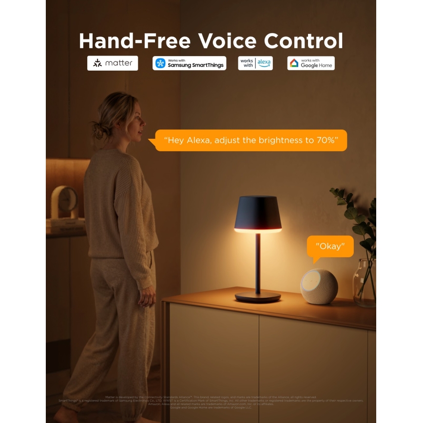 Govee - LED RGBICWW Stmievateľná stolná lampa CLASSIC MATTER LED/10W/5V 4800mAh Wi-Fi