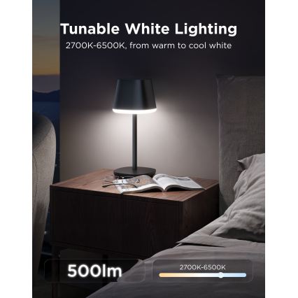 Govee - LED RGBICWW Stmievateľná stolná lampa CLASSIC MATTER LED/10W/5V 4800mAh Wi-Fi
