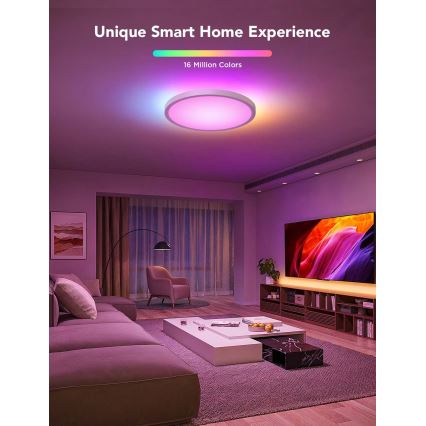 Govee - LED RGBICWW stmievateľné stropné svietidlo LED, 29 W, 230 V, priemer 30 cm, matné, Wi‑Fi