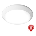 Greenlux GXPR080 - LED Stropné priemyselné svietidlo RENO PROFI LED/16W/230V IP66