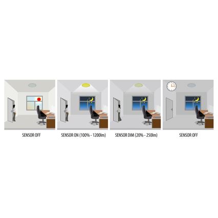 Greenlux GXPR084 - LED Stropné svietidlo so senzorom RENO PROFI LED/16W/230V IP66