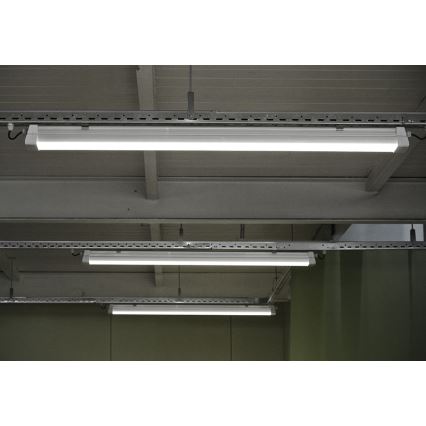 Greenlux GXWP380 - LED Žiarivkové svietidlo DUST PROFI MILK LED/30W/230V IP66