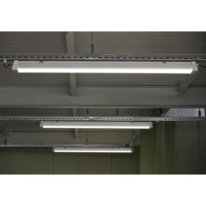 Greenlux GXWP381 - LED Žiarivkové svietidlo DUST PROFI MILK LED/55W/230V IP66