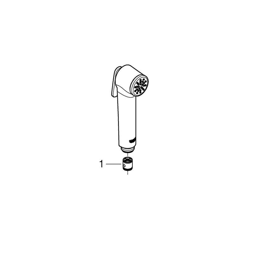 GROHE 26506000 - Ručná sprcha TEMPESTA-F 36 mm lesklý chróm