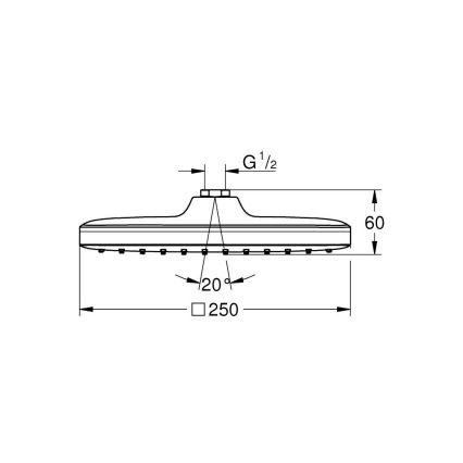 GROHE 26695000 - Sprchová hlavica VITALIO COMFORT 250 × 250 mm lesklý chróm