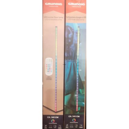 Grundig - LED RGBW Stmievateľná stojacia lampa LED/6W/230V + diaľkové ovládanie