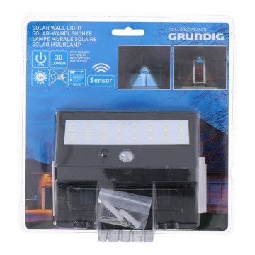 Grundig - LED Solárne svietidlo so senzorom pohybu a súmraku LED/0,25W/1xAA 300 mAh
