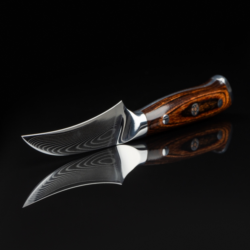 Gudaro - Damaskový kuchynský nôž na ovocie FENG 3,5, 67 vrstiev ocele, dĺžka 9,5 cm