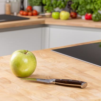 Gudaro - Damaskový kuchynský nôž na ovocie FENG 3,5, 67 vrstiev ocele, dĺžka 9,5 cm