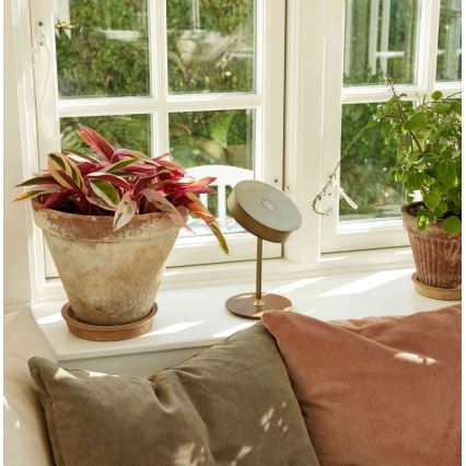 Halo Design 745784 - LED stmievateľná nabíjacia stolná lampa ON THE MOVE LED/2,5W/4000 mAh mosadz/drevo