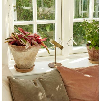 Halo Design 745784 - LED stmievateľná nabíjacia stolná lampa ON THE MOVE LED/2,5W/4000 mAh mosadz/drevo