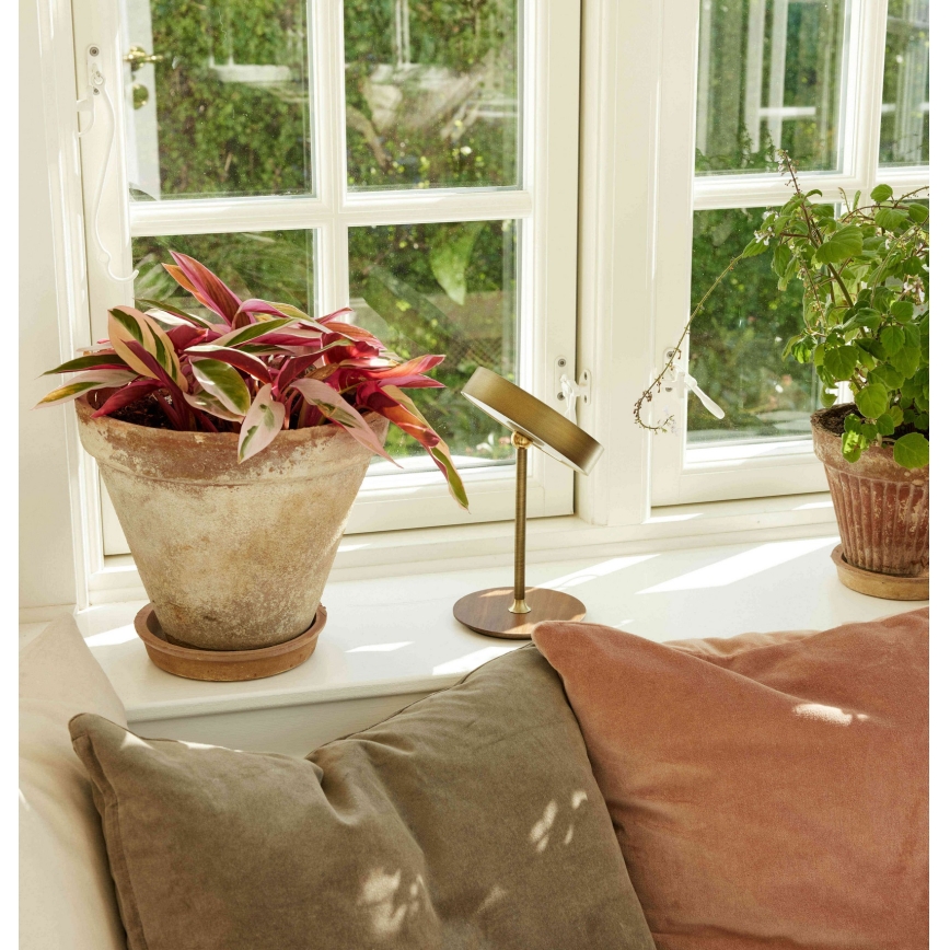 Halo Design 745784 - LED stmievateľná nabíjacia stolná lampa ON THE MOVE LED/2,5W/4000 mAh mosadz/drevo