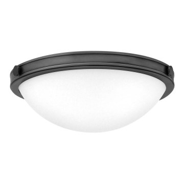 Hinkley - Stropné svietidlo COLLIER 2xE27/40W/230V pr. 34,6 cm čierna