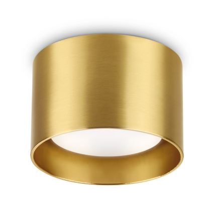 Ideal Lux - LED Bodové svietidlo SPIKE 1xGX53/9W/230V zlatá