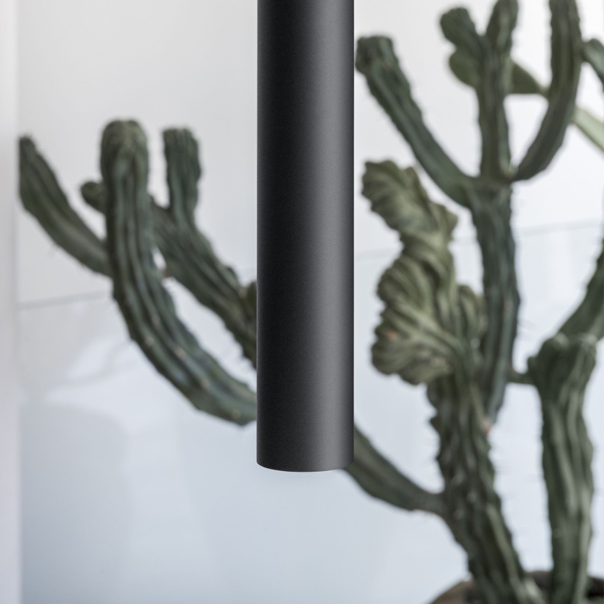 Dlhý čierny valec visí v priestore. Za ním sa rozostupuje rozvetvený kaktus v črepníku.