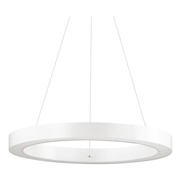 Ideal Lux - LED Luster na lanku ORACLE LED/28W/230V 3000K pr. 50 cm CRI 90 biela