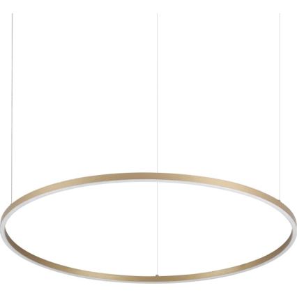 Ideal Lux - LED závesný luster na lanku ORACLE SLIM LED/53W/230V 3000K CRI 90, priemer 90 cm, zlatý