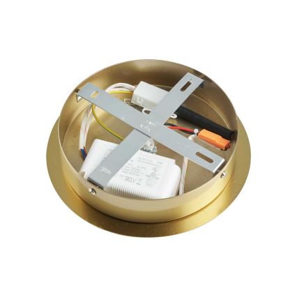 Ideal Lux - LED Luster na tyči EQUINOXE 12xG4/2W/230V pr. 124 cm mosadz/číra