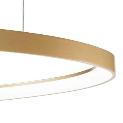 Ideal Lux - LED Stmievateľný luster na lanku GEMINI LED/48W/230V pr. 61 cm CRI 90 zlatá