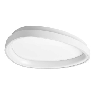 Ideal Lux - LED Stropné svietidlo GEMINI LED/23W/230V pr. 42,5 cm CRI 90 biela