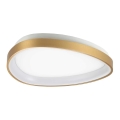 Ideal Lux - LED Stropné svietidlo GEMINI LED/23W/230V pr. 42,5 cm CRI 90 zlatá