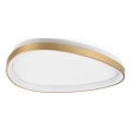 Ideal Lux - LED Stropné svietidlo GEMINI LED/30W/230V pr. 61 cm CRI 90 zlatá