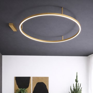 Ideal Lux - LED stropné svietidlo ORACLE SLIM LED/53W/230V 3000K CRI 90 pr. 90 cm zlaté