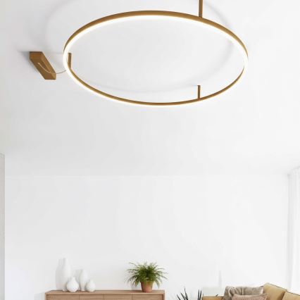Ideal Lux - LED stropné svietidlo ORACLE SLIM LED/53W/230V 3000K CRI 90 pr. 90 cm zlaté