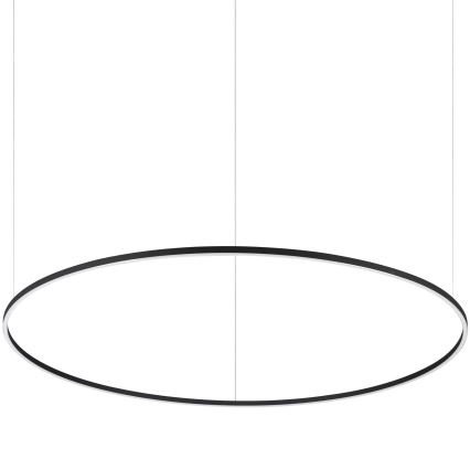Oválná lampa visí zo stropu. Je čierna a z vnútornej strany jemne presvitá. Pozadie je biele.