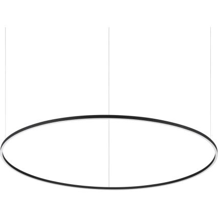 Oválny stropný svietiaci prvok visí na dvoch tenkých kábloch. Svietidlo je čierne, s vnútorným bielym osvetlením. Pozadí je čisté, biele.