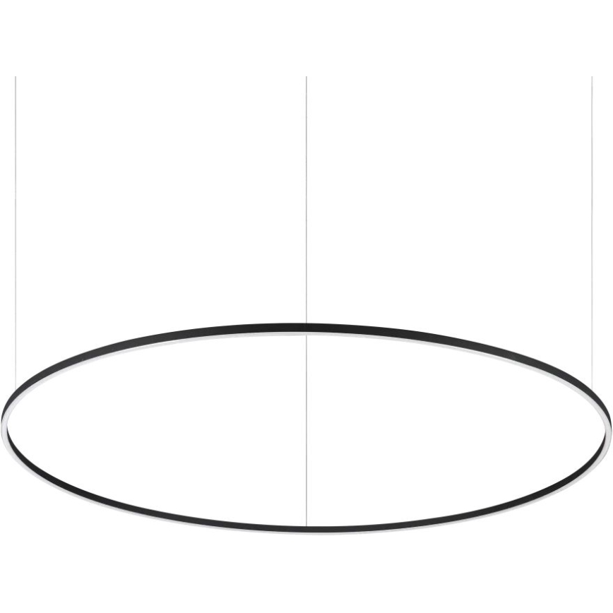 Oválny stropný svietiaci prvok visí na dvoch tenkých kábloch. Svietidlo je čierne, s vnútorným bielym osvetlením. Pozadí je čisté, biele.
