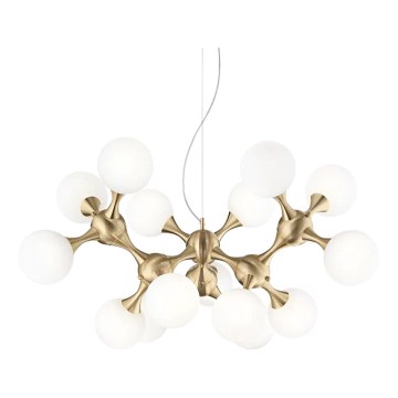 Ideal Lux - Luster na lane NODI 15xE14/28W/230V pr. 105 cm mosadz/biela