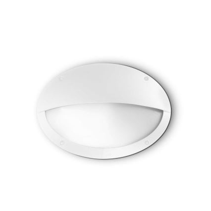 Biela oválna nástenná lampa s difúzorom je umiestnená na bielom pozadí. Lampa je pripevnená k stene.