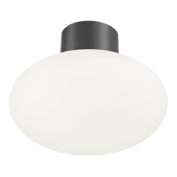 Ideal Lux - Vonkajšie stropné svietidlo CLIO 1xE27/42W/230V IP44 antracit