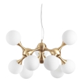 Ideal Lux - Závesný luster na lankách NODI 9xE14/28W/230V priemer 80 cm mosadz/biela