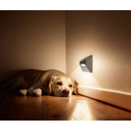 LED Nabíjacie schodiskové svietidlo so snímačom pohybu a súmraku STEP LIGHT LED/0,3W/3,7V 2200 mAh IP53 sivá