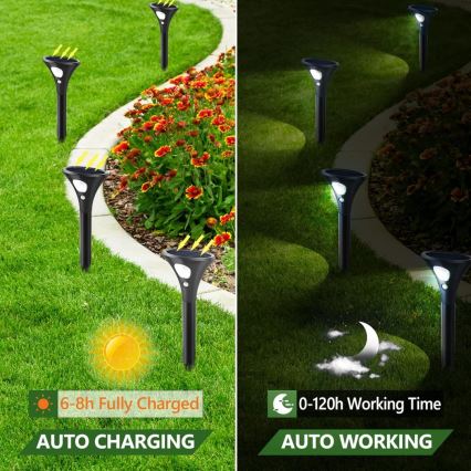 Solárne záhradné svetlá sa nabíjajú cez deň a svietia v noci. 6-8 hodín nabíjania zabezpečí 0-120 hodín prevádzky. Svetlá sú umiestnené pozdĺž záhradnej cesty lemovanej kvetmi.