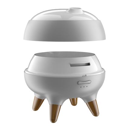 Aróma difuzér s LED podsvietením LED/10W/24V