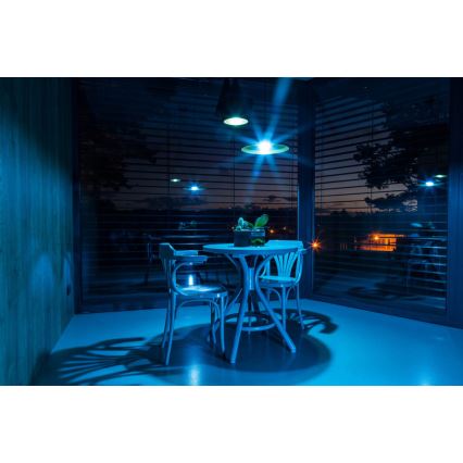 Immax 07007L - Diaľkový ovládač NEO RGB+CCT/2xAAA ZigBee