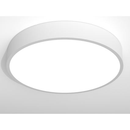 Immax NEO RONDATE - LED Stropné svietidlo na diaľkové ovládanie LED/65W/230V