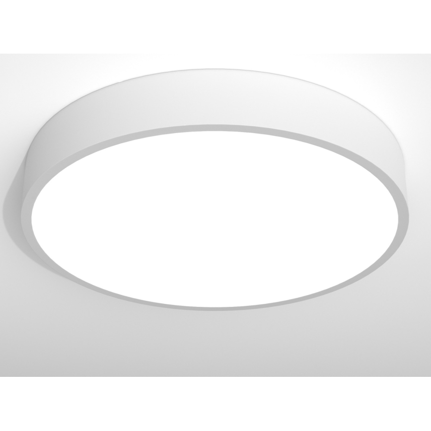 Immax NEO RONDATE - LED Stropné svietidlo na diaľkové ovládanie LED/65W/230V