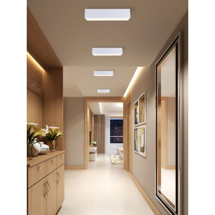 Immax NEO 07072-60 - LED Stmievateľné stropné svietidlo CANTO LED/34W/230V biela Tuya + diaľkové ovládanie