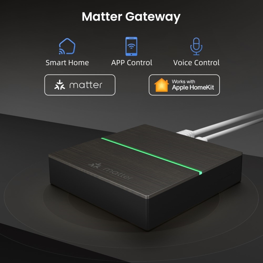 Immax NEO 07117-5 - Inteligentný MATTER BRIDGE Zigbee 3.0 230V Tuya Wi-Fi
