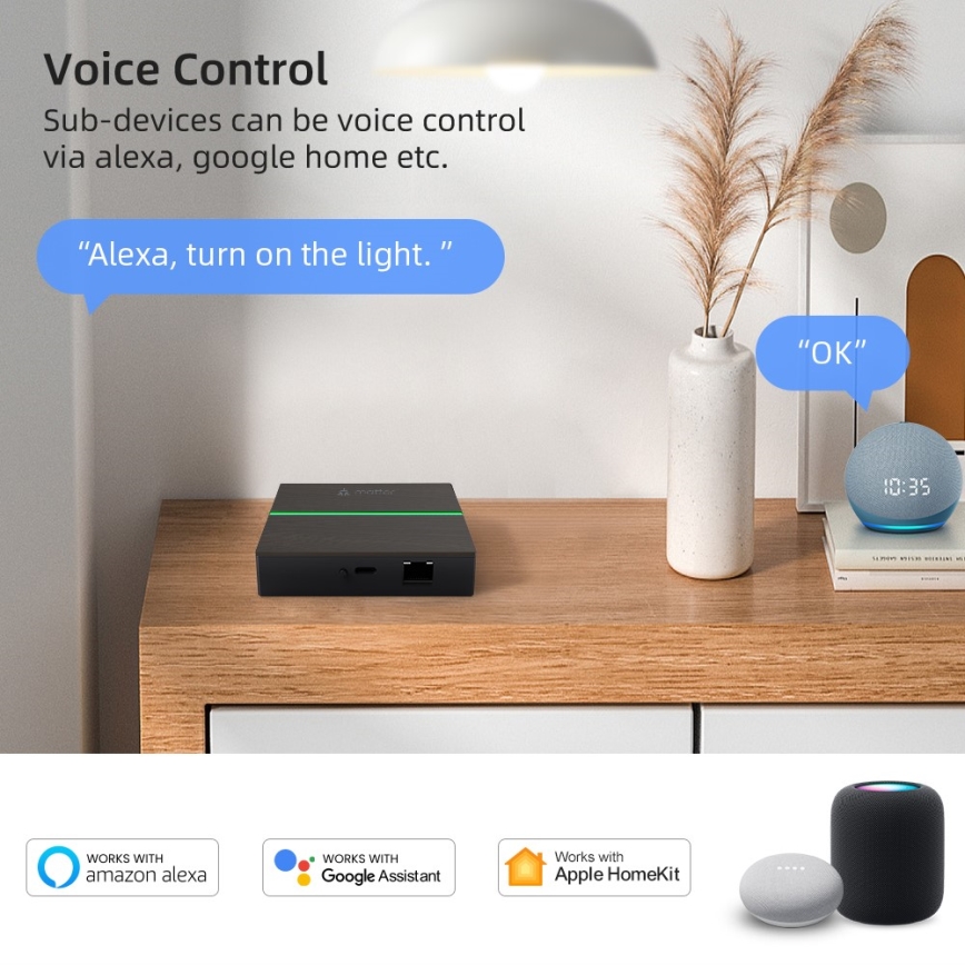 Immax NEO 07117-5 - Inteligentný MATTER BRIDGE Zigbee 3.0 230V Tuya Wi-Fi