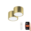 Immax Neo 07127L-BD - Sada 2x LED Stropné svietidlo RONDATE zlatá 2xLED/12W/230V + DO Tuya