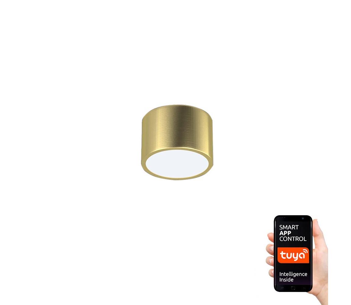 Neo Neo 07127L - LED Stmievateľné stropné svietidlo RONDATE LED/12W/230V Tuya