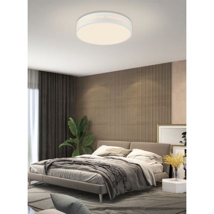 Immax NEO 07153-W50 - LED Stmievateľné stropné svietidlo NEO LITE PERFECTO LED/48W/230V Wi-Fi Tuya biela + diaľkové ovládanie